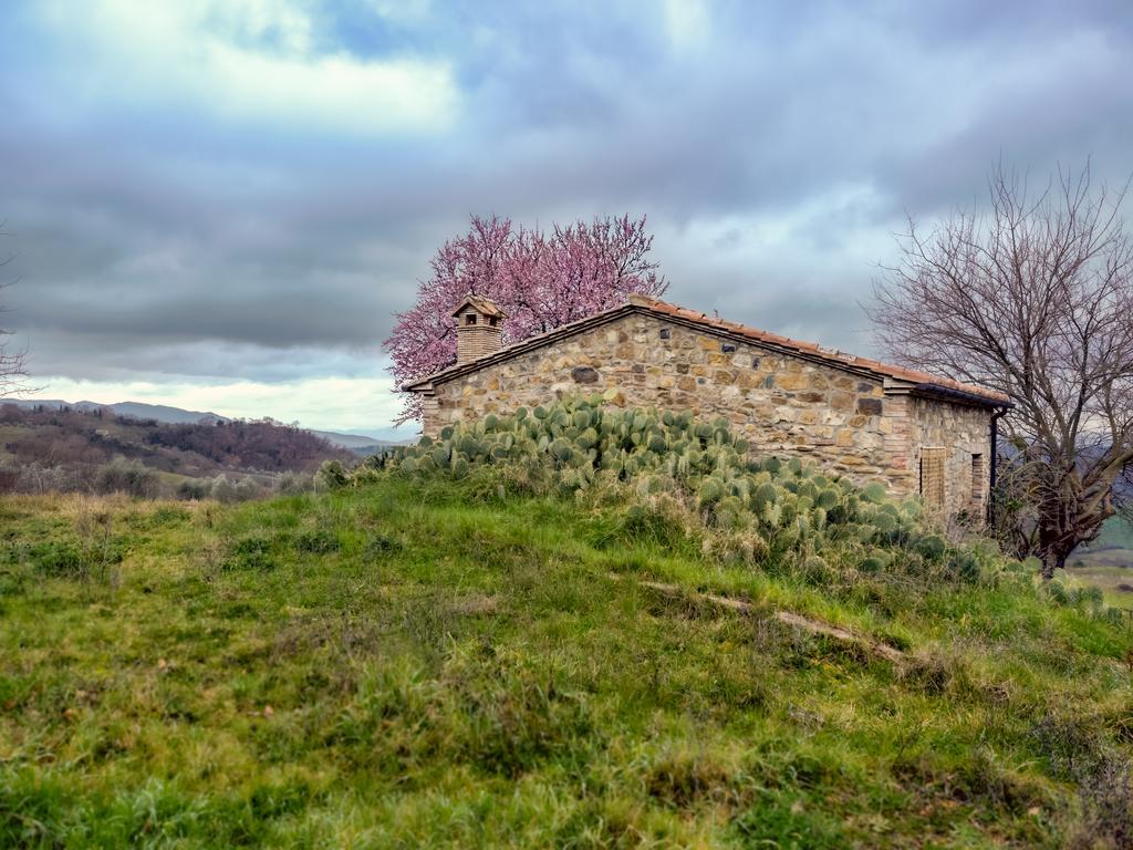 Agriturismo Le Canterie Radicondoli エクステリア 写真