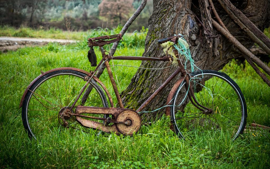 Agriturismo Le Canterie Radicondoli エクステリア 写真