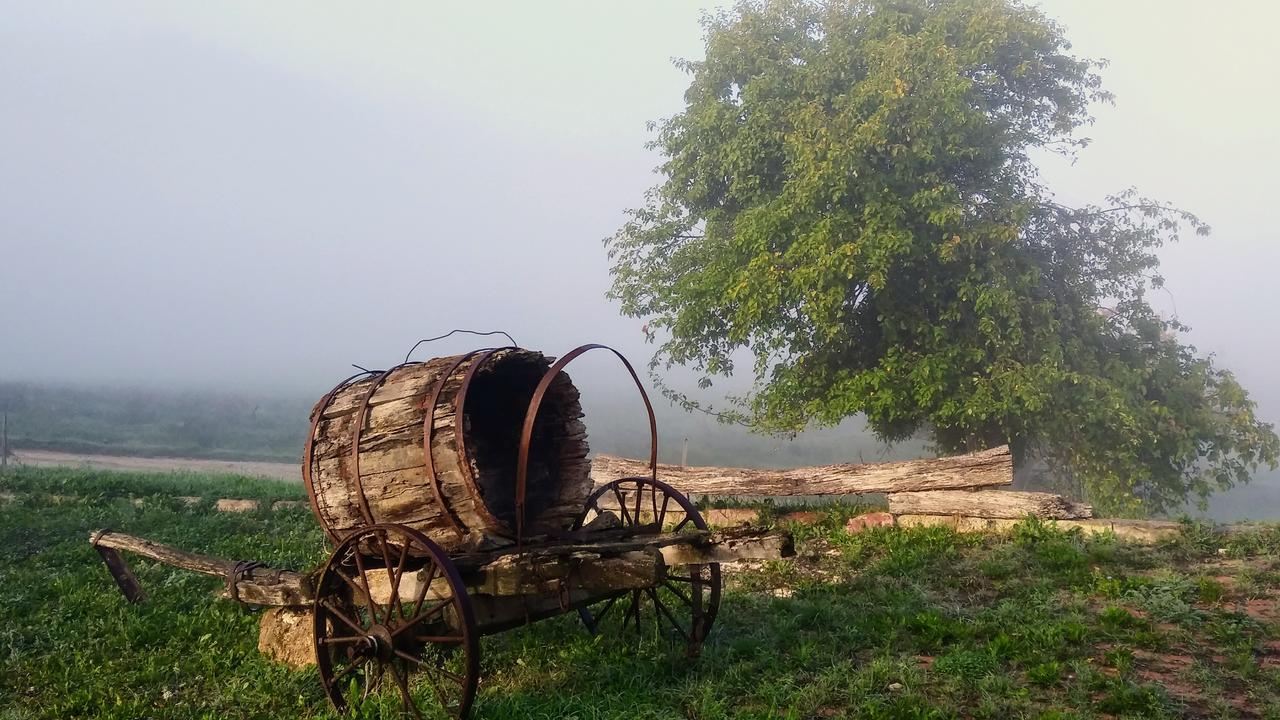Agriturismo Le Canterie Radicondoli エクステリア 写真