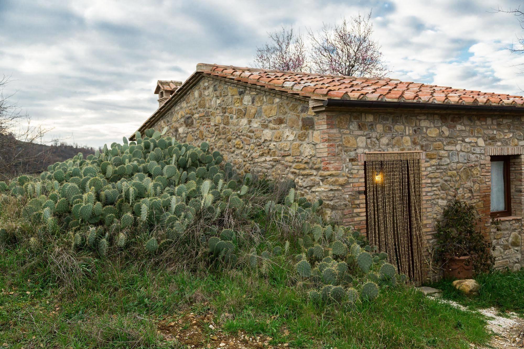 Agriturismo Le Canterie Radicondoli エクステリア 写真